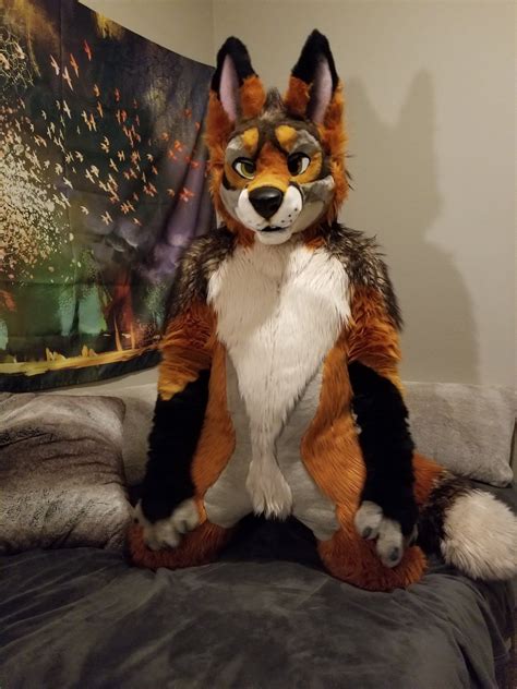 sexy fursuit|Browsing Artwork 